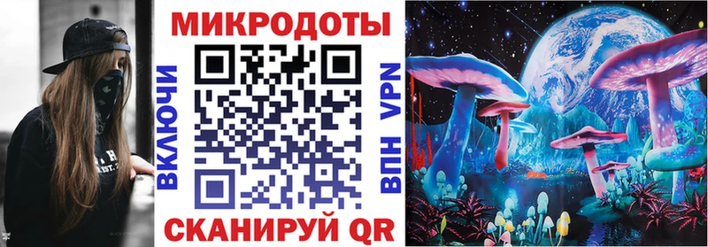 OMG tor  продажа наркотиков  Бор  Галлюциногенные грибы Psilocybe 
