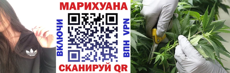 Шишки марихуана гибрид  продажа наркотиков  Бор 